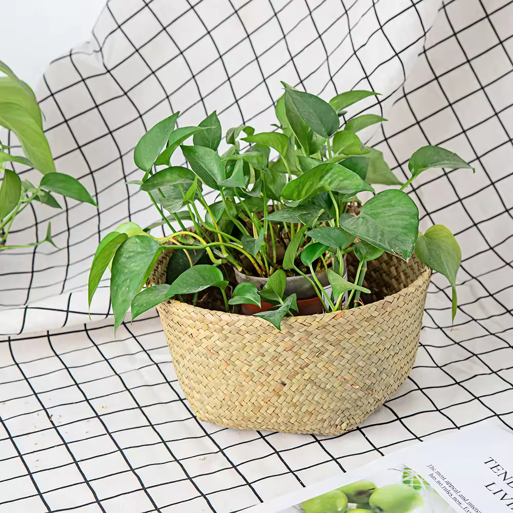 Wicker Basket For Home Decor Natural color